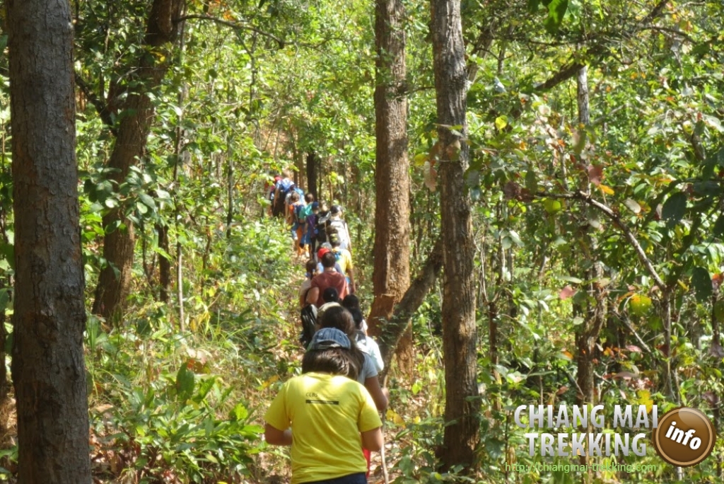 4-days/3-nights Trekking Tour | Chiang Mai Trekking | Das beste Trekking in Chiang Mai mit Piroon Nantaya